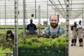 Farmers harvesting nutritious vegetables