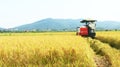 Farmers harvesting rice in the fields by machine