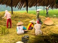 Farmers are harvesting rice in the fields