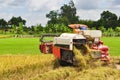 Farmers are harvesting rice in the golden field in spring, in western Vietnam September 2014