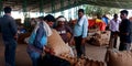 Farmers holded wheat grain sack for ejecting seeds at agriculture field