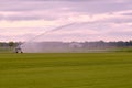 Farmers irrigate fields because of the drought, crops waiting for the rain to come. Drenthe, the Netherlands. Royalty Free Stock Photo