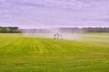 Farmers irrigate fields because of the drought, crops waiting for the rain to come. Drenthe, the Netherlands. Royalty Free Stock Photo