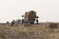 Farmers is loading bales straw in a tractor trailer Royalty Free Stock Photo
