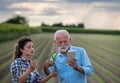 Farmers looking at corn plant with root in field Royalty Free Stock Photo
