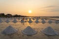 Farmers making heaps of raw sea salt piles with sea. Farm field outdoor. Nature material in traditional salt industry in Thailand