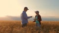 Farmers male and female working with a tablet in wheat field, in the sunset light. businessmen studies income in