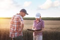 Farmers male and female working with a tablet in a wheat field, in the sunset light.