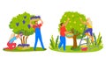 Harvesting Apples and Grapes, Agriculture Vector