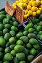 Farmers market avocados and lemons Royalty Free Stock Photo