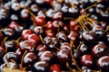 Farmers Market Black Cherries Royalty Free Stock Photo