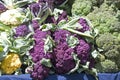 Farmers Market brocolli array Royalty Free Stock Photo