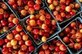 Farmers Market Cherries Royalty Free Stock Photo