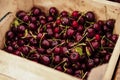 Farmers Market Cherries Royalty Free Stock Photo