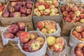 Farmers Market Display of Newly Harvested Autumn Orchard Apples For Sale