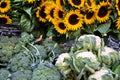 Farmers market in France with vegetables and sunflowers. Royalty Free Stock Photo