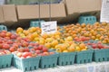 Farmers Market fresh Cherry Tomatoes Royalty Free Stock Photo