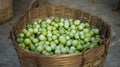 Farmers Market Fresh Green Tomatoes Royalty Free Stock Photo