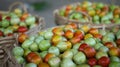 Farmers Market Fresh Tomatoes Royalty Free Stock Photo