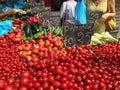 Heap of fresh tomatoes Royalty Free Stock Photo