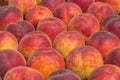 Farmers market peaches background 2 Royalty Free Stock Photo