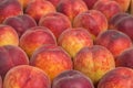 Farmers market peaches background Royalty Free Stock Photo