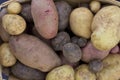 Farmers Market Potatoes Royalty Free Stock Photo