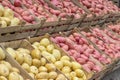 Farmers market potatoes in a wooden crates 2 Royalty Free Stock Photo