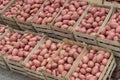 Farmers market potatoes in a wooden crates