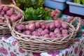 Farmers Market - Red Potato Basket Royalty Free Stock Photo