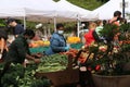Farmers Market on Roosevelt Island Royalty Free Stock Photo