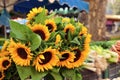 Farmers market stall sunflowers Royalty Free Stock Photo