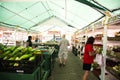 Farmers market on a summer day in a tent