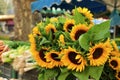 Farmers market stall sunflowers Royalty Free Stock Photo