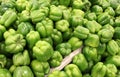 Farmers market table covered in fresh green peppers