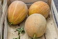 Farmers market and three melons in a wooden crate