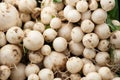 Farmers Market Turnips for Sale