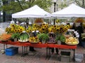 USA, Boston, Massachusetts. Farmers Market in Copley Square.