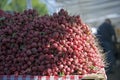 Farmers Mkt pile of radishes