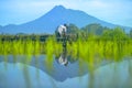Farmers plant young rice with mountain background