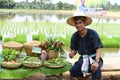 Farmers planting rice by demonstrating sufficient economy