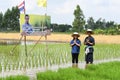 Farmers planting rice by demonstrating sufficient economy