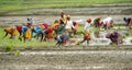 Farmers planting rice in monsoon season