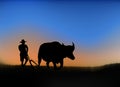 Farmers plowing a field using a buffalo at sunrise Royalty Free Stock Photo