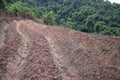 Farmers prepare surface of the land tilling the soil for agriculture and growing rice for terraced paddy rice fields in Thailand