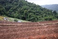 Farmers prepare surface of the land tilling the soil for agriculture and growing rice for terraced paddy rice fields in Thailand