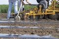 Farmers Preparing Tractor Attachment for Plastic Mulch Bed Lying