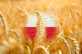 Farmers protest in Poland. Warsaw protest. Wheat background