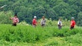 Farmers with scythes