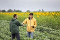 Farmers shaking hands in field